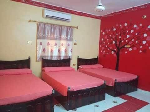 El-Amin Guest House Aswan Buitenkant foto